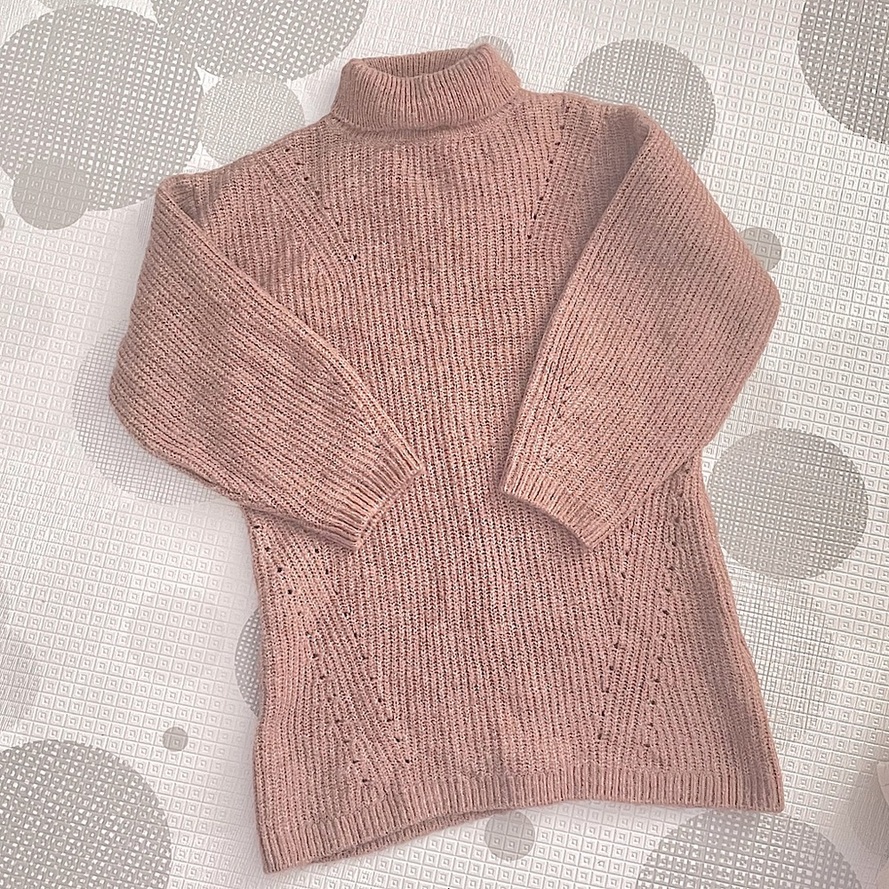 Zara Turtle neck knit dress